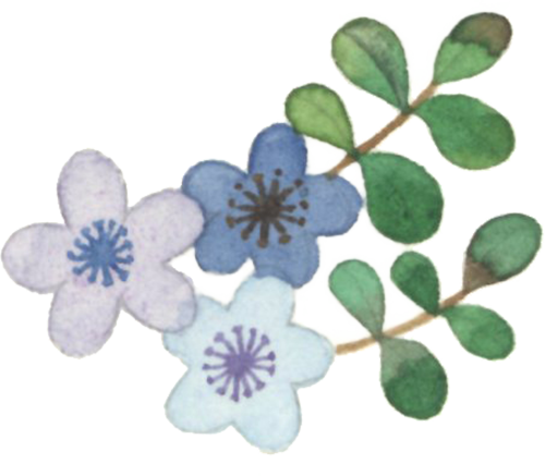 守护下肢，健康同行